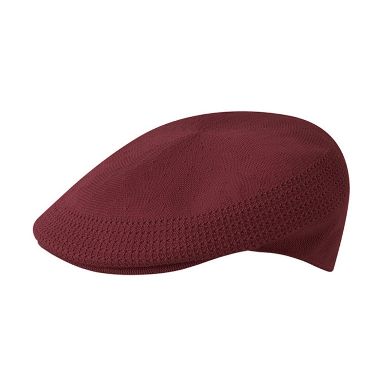 TROPIC 504 VENTAIR (BURGUNDY) s