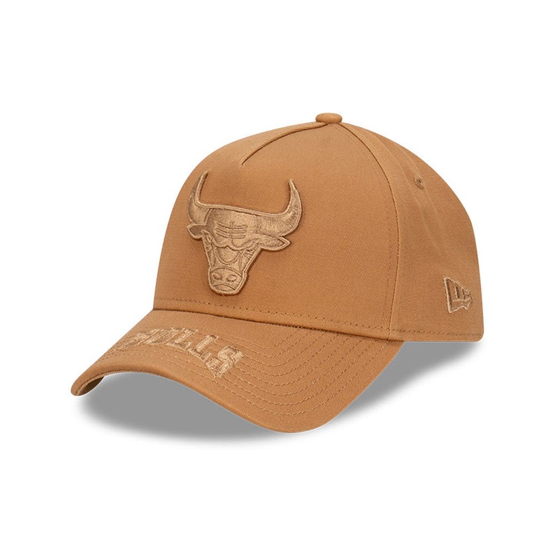 Chicago Bulls 9FORTY A-Frame Apac Exclusive Tonal Wheat Cap One Size