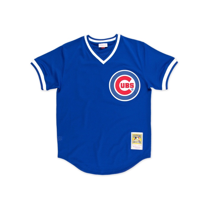 Chicago Cubs #23 Ryne Sandberg Mitchell & Ness 1984 Authentic Mesh BP Jersey m